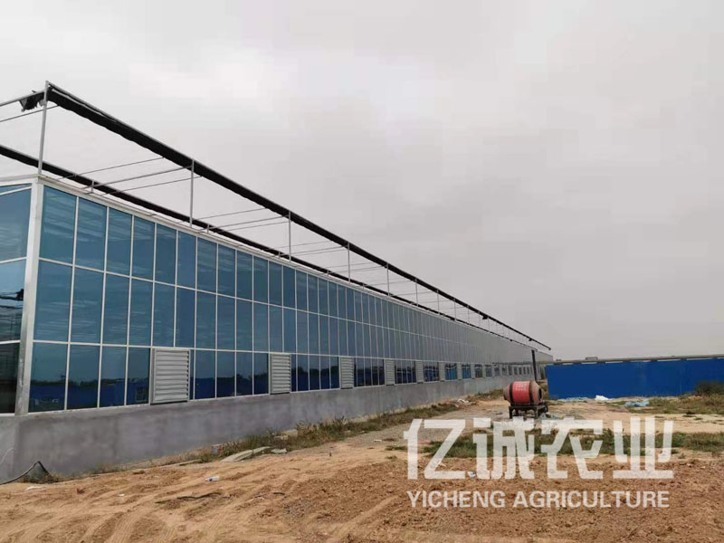青州連棟智能溫室報價低，廠家云集，建設經驗豐富