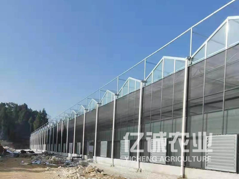 建溫室大棚需要多少錢？連棟溫室工程造價(jià)