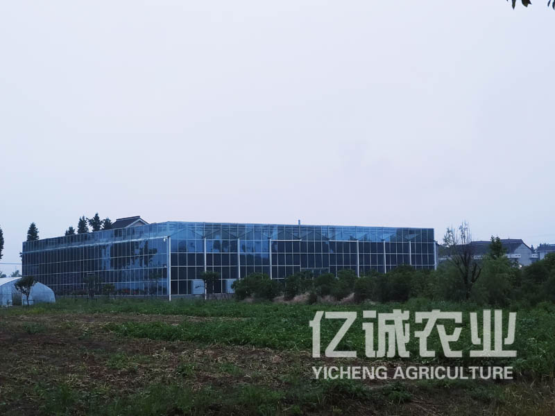 智能溫室大棚遇到大風(fēng)該怎么加固？