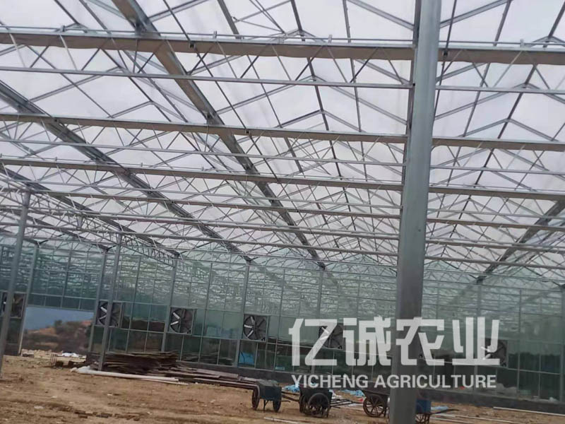 智能蔬菜溫室大棚結(jié)束了中國北方到了冬天就只能靠蘿卜、白菜生活的日子