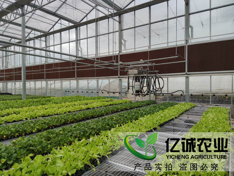 現(xiàn)代化智能溫室大棚如何建造？智能化連棟溫室大棚多少錢一個(gè)平方？