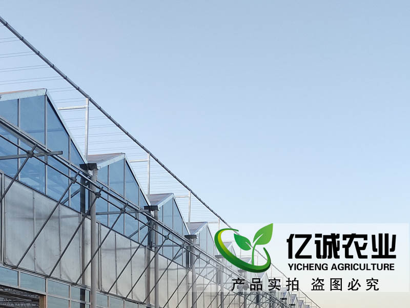 玻璃溫室每平方米報價多少？現(xiàn)代化智能溫室大棚造價？