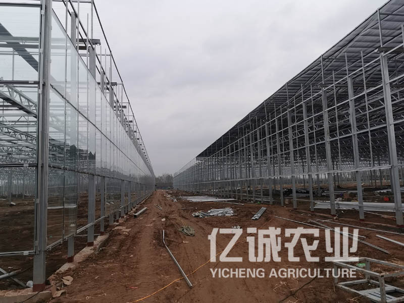 智能溫室大棚建設(shè)在施工時遭遇暴雨天怎么辦？