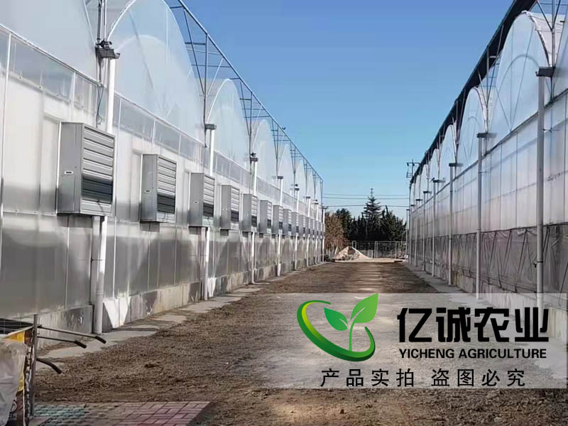 玻璃和薄膜連棟溫室大棚在種植蔬菜前對土壤有要求嗎？