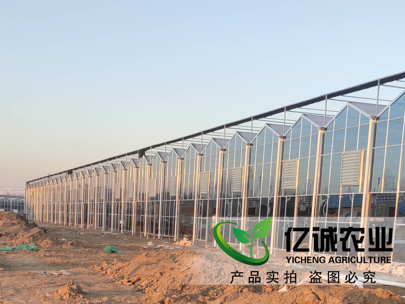 建一畝地溫室大棚多錢？用什么材料比較好？