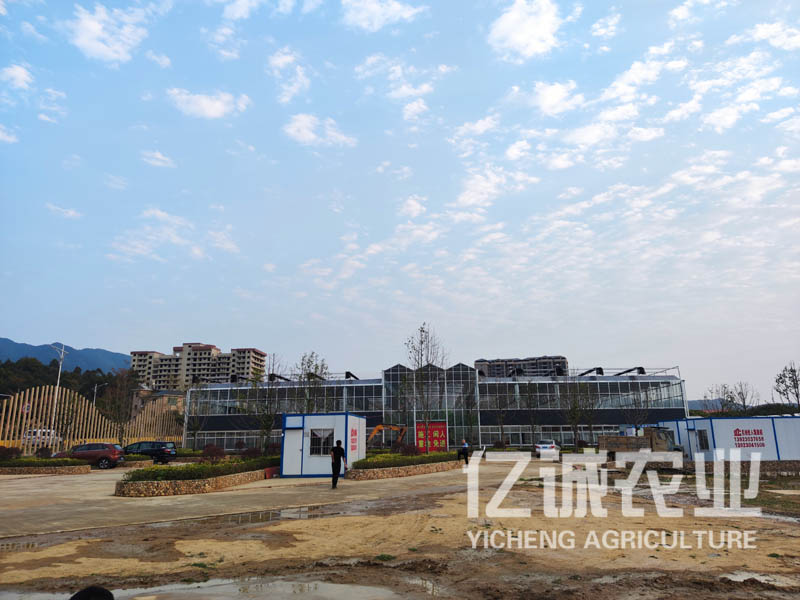 現(xiàn)代化連棟溫室大棚建設有補貼嗎？連溫室大棚造價多少一畝