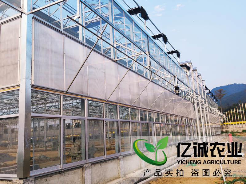 玻璃溫室大棚造價多少錢一畝？玻璃連棟溫室大棚價格高不高？