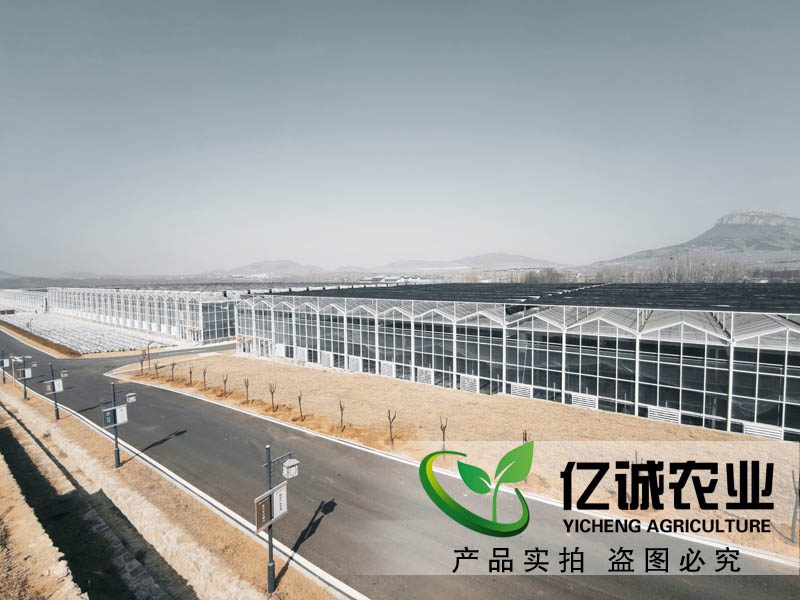 連棟溫室大棚水槽內(nèi)為什么會積水？億誠教您這樣做
